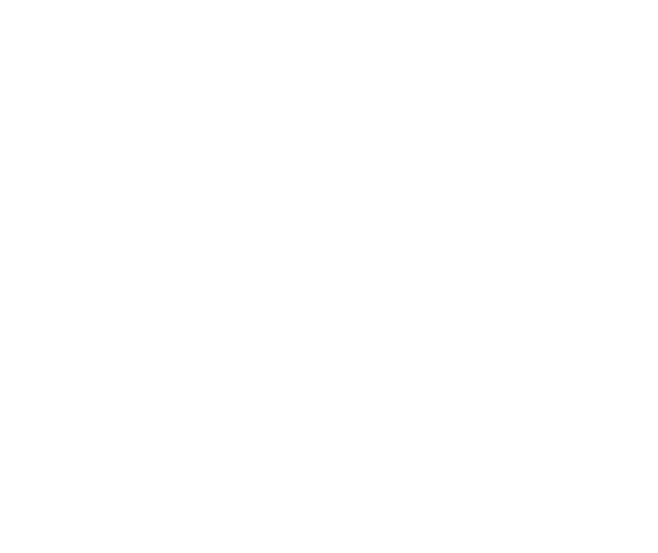 SATECH Client 13